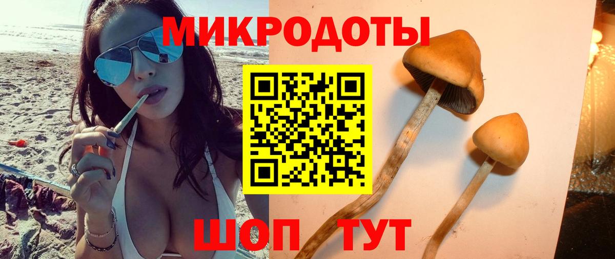 ГАШ Кумертау
