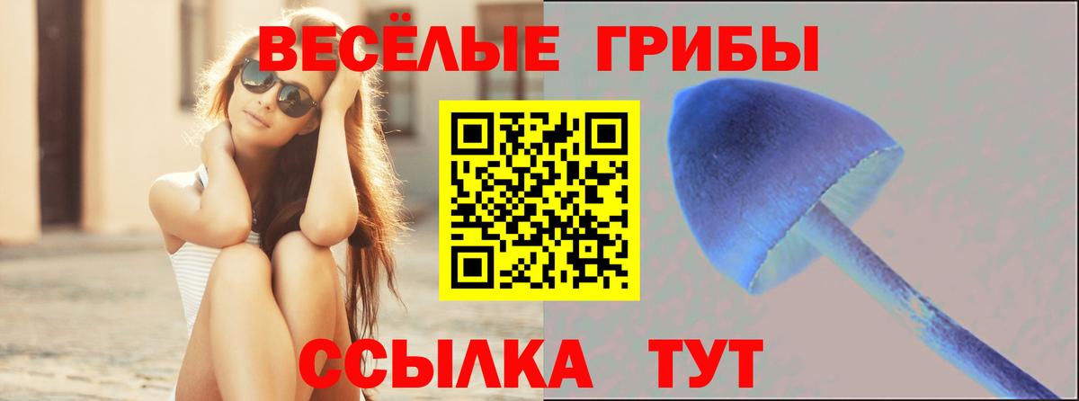 Псилоцибиновые грибы мицелий  Вход с VPN  Галлюциногенные грибы мицелий  Кумертау 